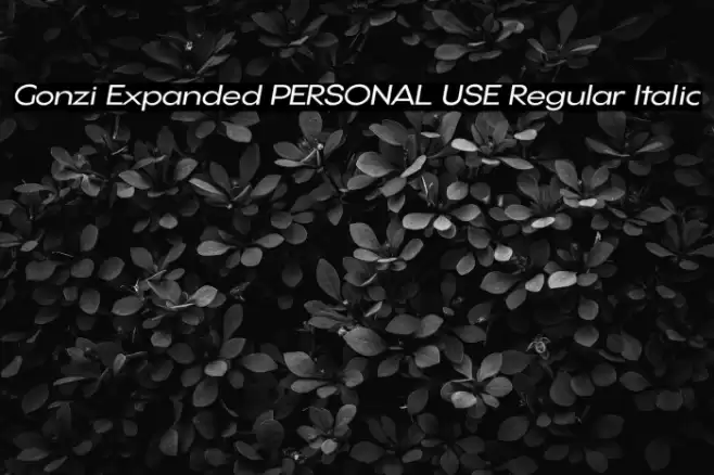 Gonzi Expanded PERSONAL USE Regular Italic Font examples