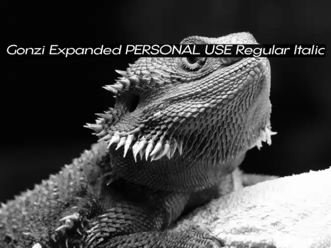 Gonzi Expanded PERSONAL USE Regular Italic Font examples