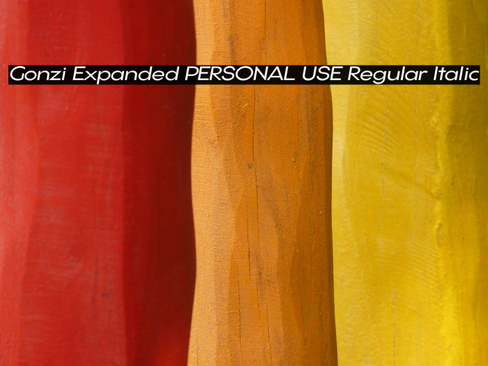 Gonzi Expanded PERSONAL USE Regular Italic Example 3