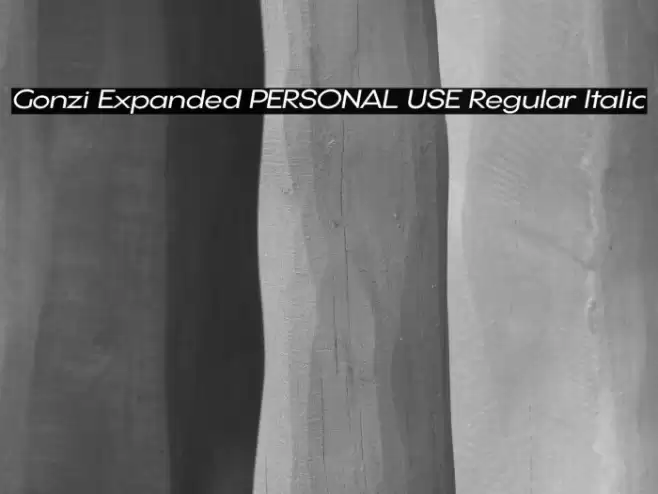 Gonzi Expanded PERSONAL USE Regular Italic Font examples