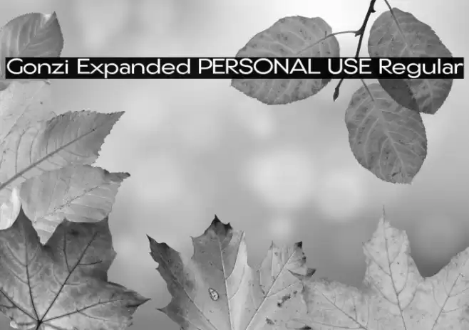 Gonzi Expanded PERSONAL USE Regular Schriftart examples