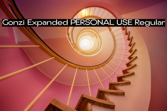 Gonzi Expanded PERSONAL USE Regular Example 3