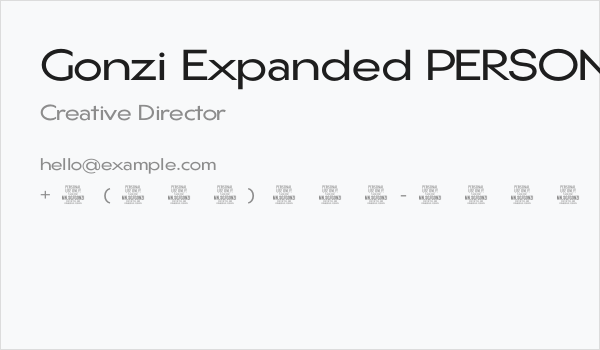 Gonzi Expanded PERSONAL USE Regular Business Card