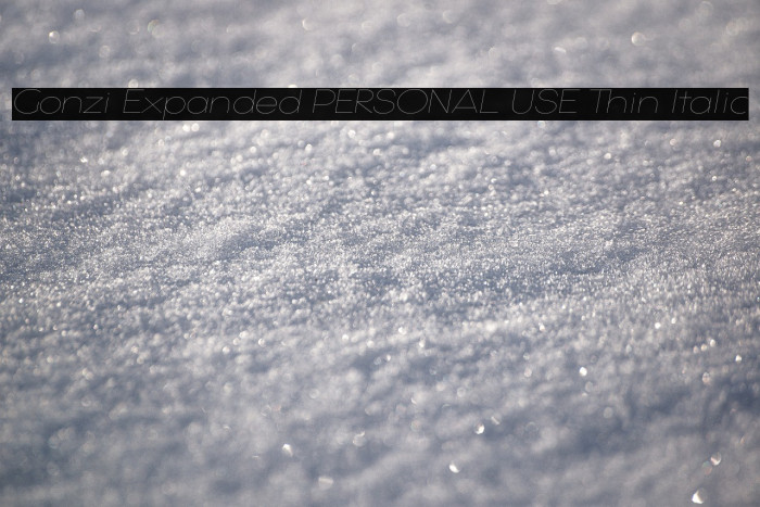 Gonzi Expanded PERSONAL USE Thin Italic Example 3