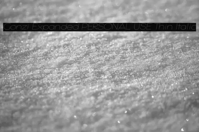 Gonzi Expanded PERSONAL USE Thin Italic Schriftart examples