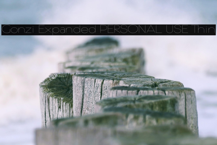 Gonzi Expanded PERSONAL USE Thin Example 1