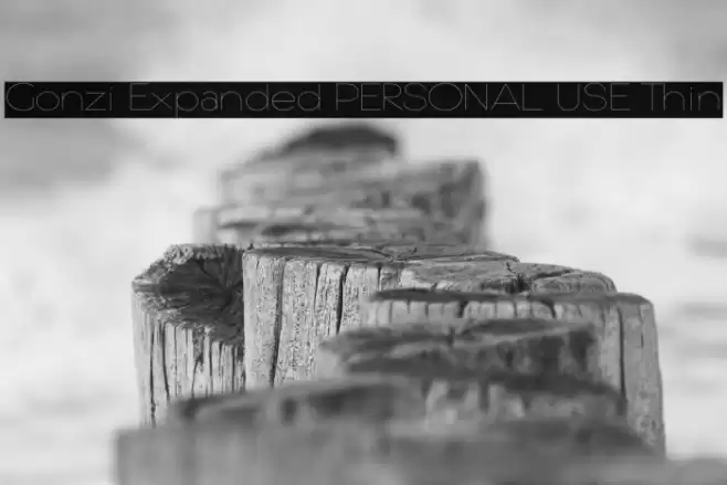 Gonzi Expanded PERSONAL USE Thin Font examples