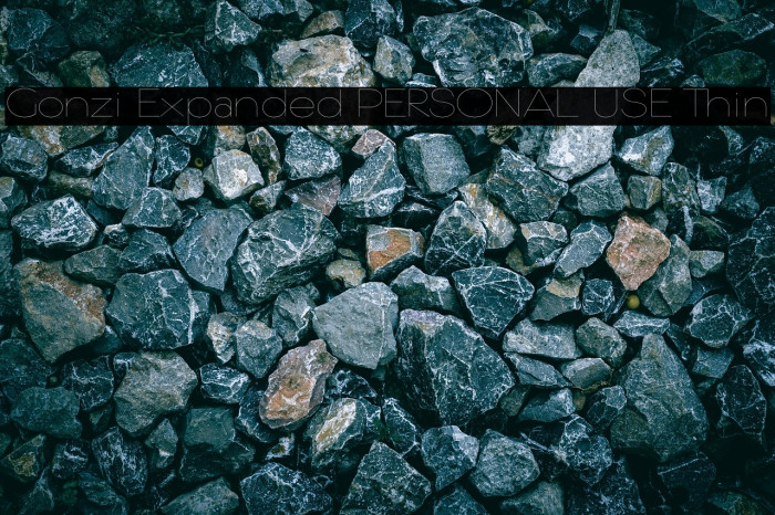 Gonzi Expanded PERSONAL USE Thin Example 3