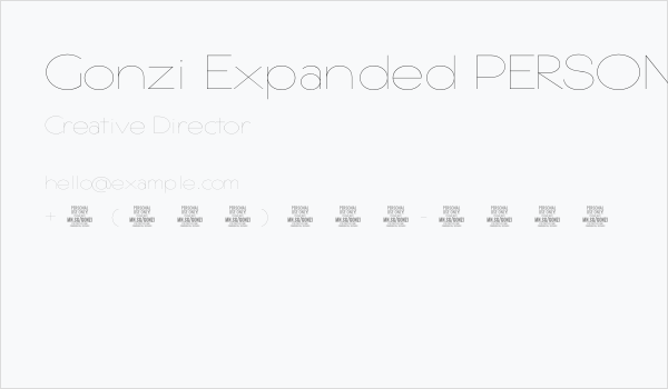 Gonzi Expanded PERSONAL USE Thin Business Card