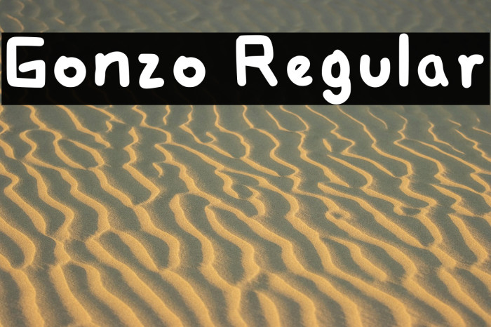 Gonzo Regular Example 2