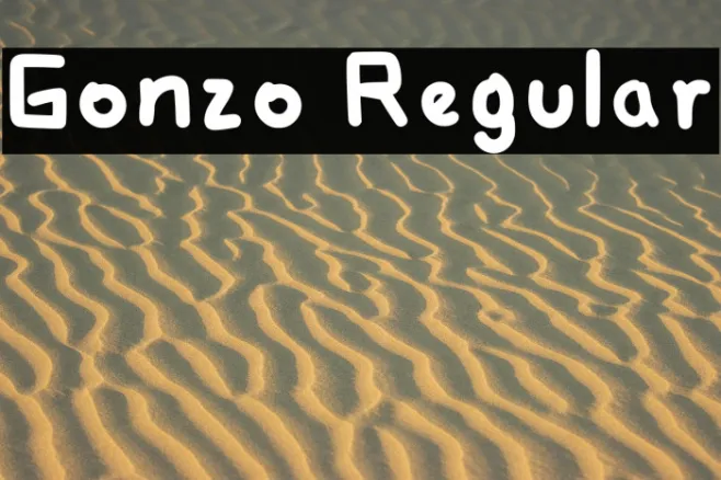 Gonzo Regular Example 2