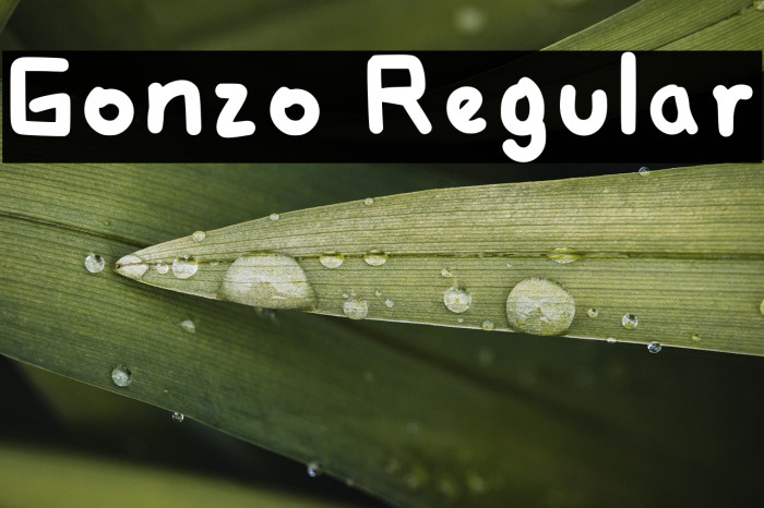 Gonzo Regular Example 3