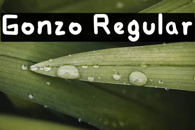 Gonzo Regular Example 3