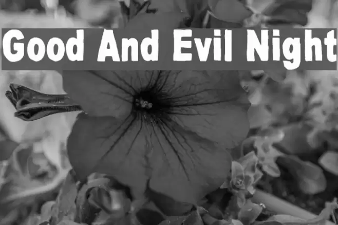 Good And Evil Night Polices examples