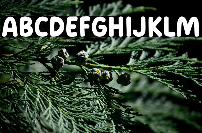 Good Bakwan Example 1