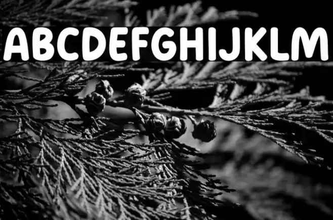 Good Bakwan Font examples