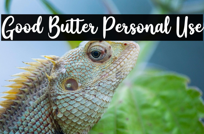 Good Butter Personal Use Example 1