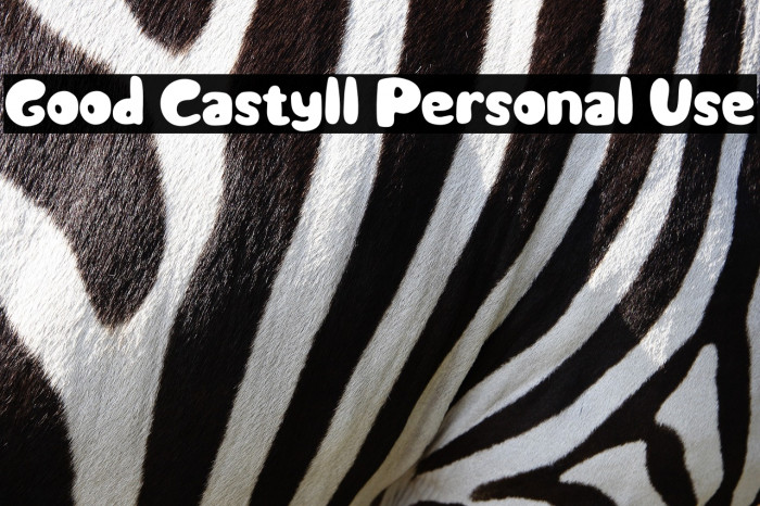 Good Castyll Personal Use Example 1