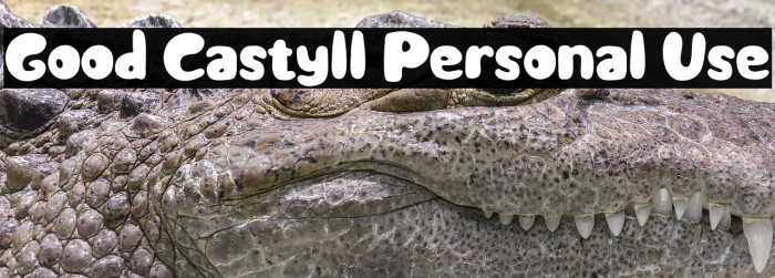 Good Castyll Personal Use Example 3