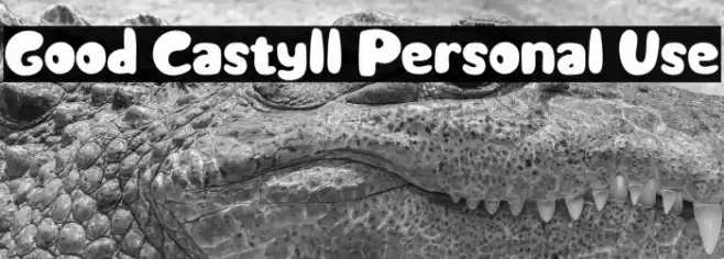 Good Castyll Personal Use Font examples