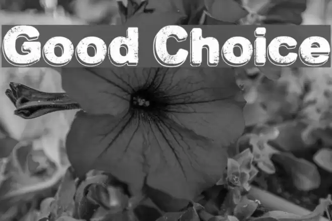 Good Choice Font examples