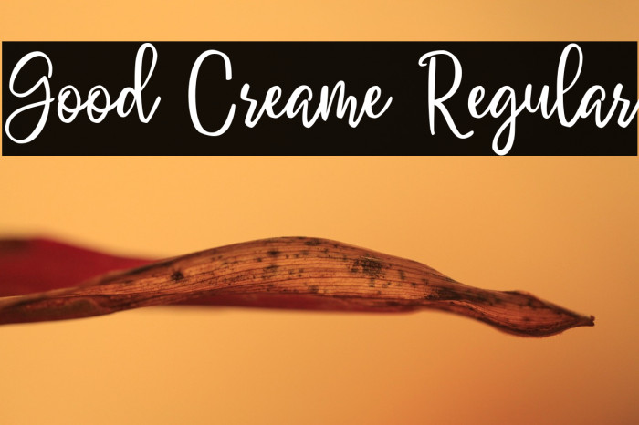Good Creame Regular Example 3