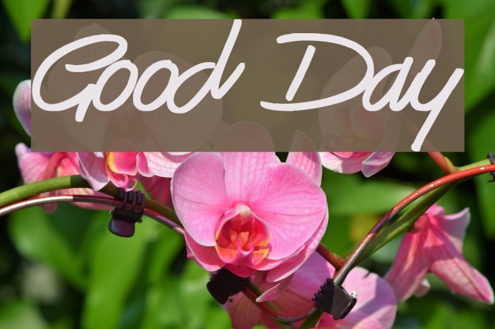 Good Day Font examples