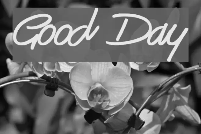 Good Day フォント examples