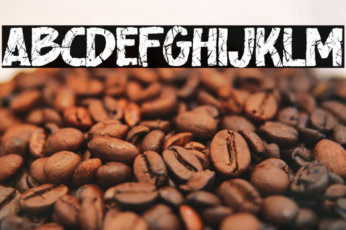 Good Explorer Example 2