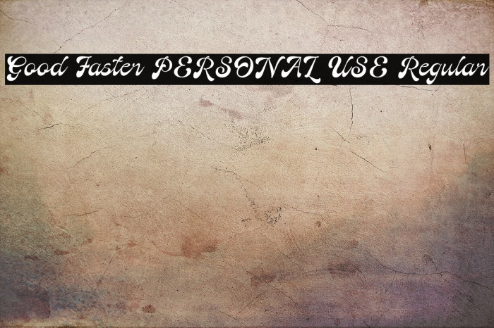 Good Faster PERSONAL USE Regular Example 1