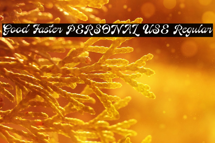 Good Faster PERSONAL USE Regular Example 3