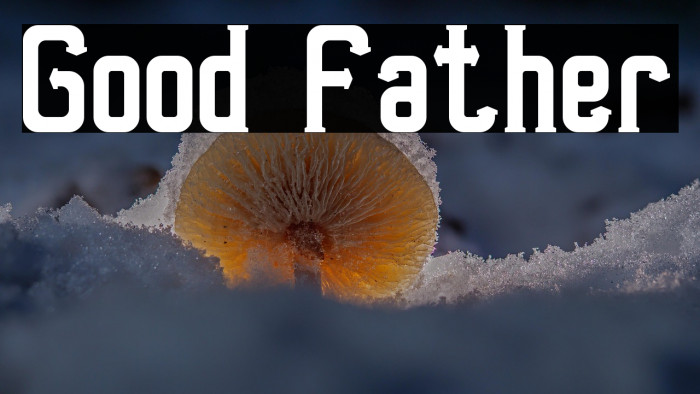 Good Father Example 2