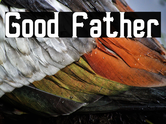 Good Father Example 3