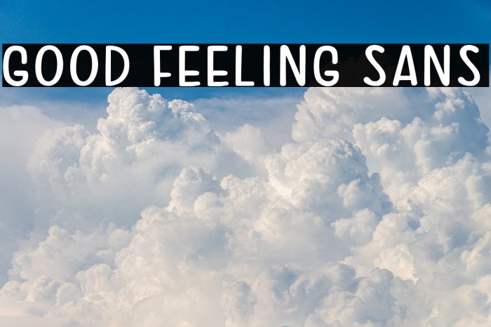 Good Feeling Sans Font examples