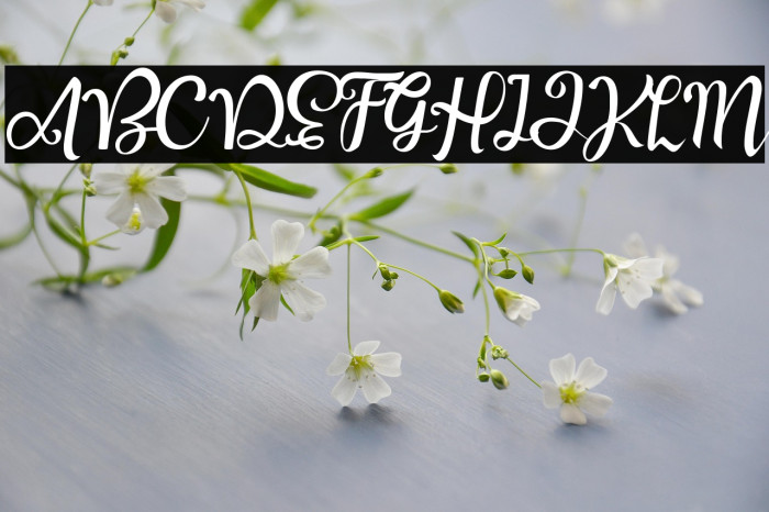 Good Feeling Script Example 3