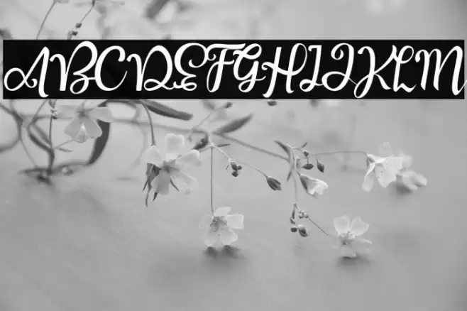 Good Feeling Script Font examples