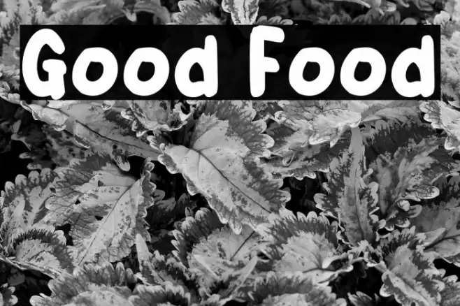 Good Food Font examples