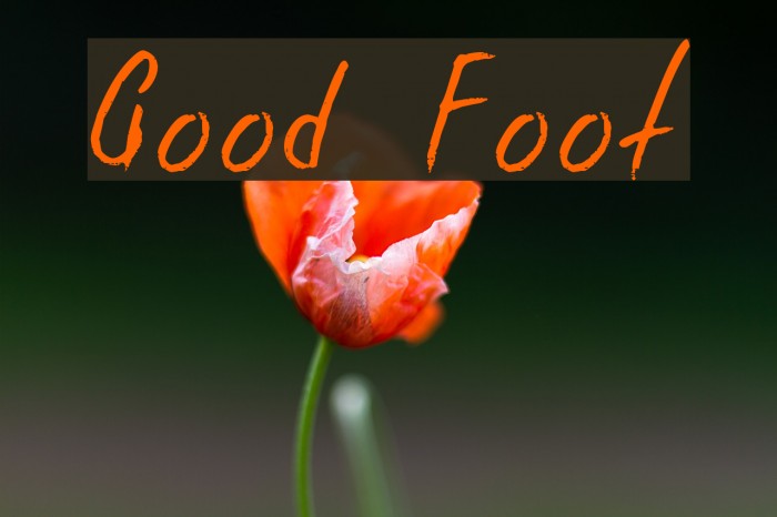 Good Foot Font examples
