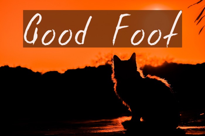 Good Foot Font examples