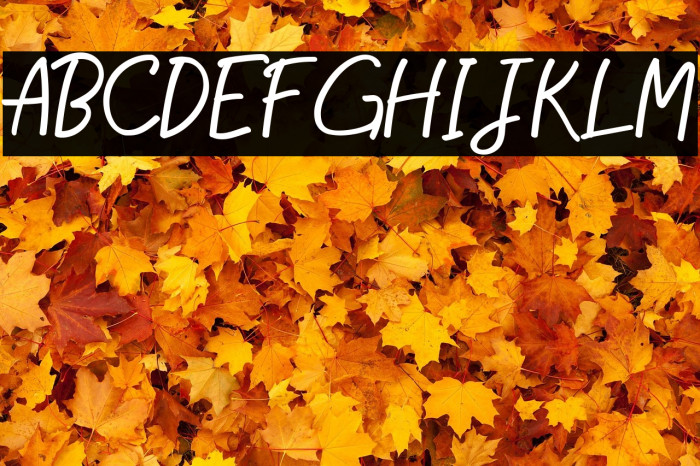 Good Happiness Example 3