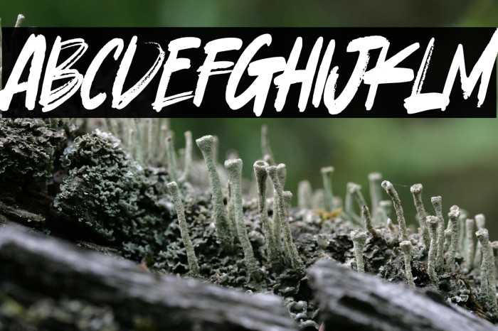 Good Looking Karma Example 2