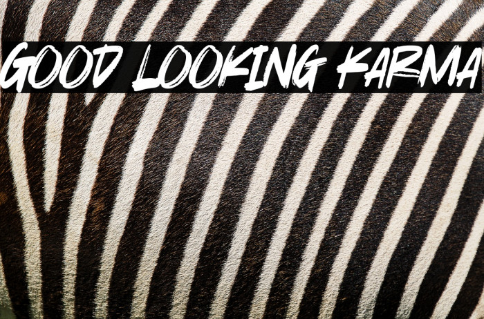 Good Looking Karma Example 1