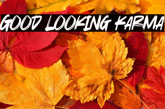 Good Looking Karma Example 3