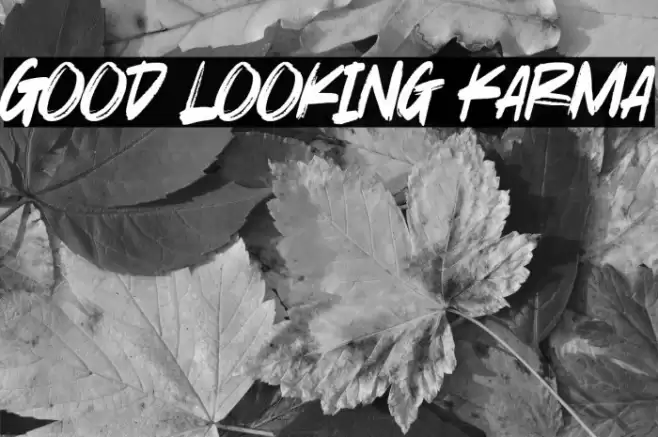 Good Looking Karma Font examples