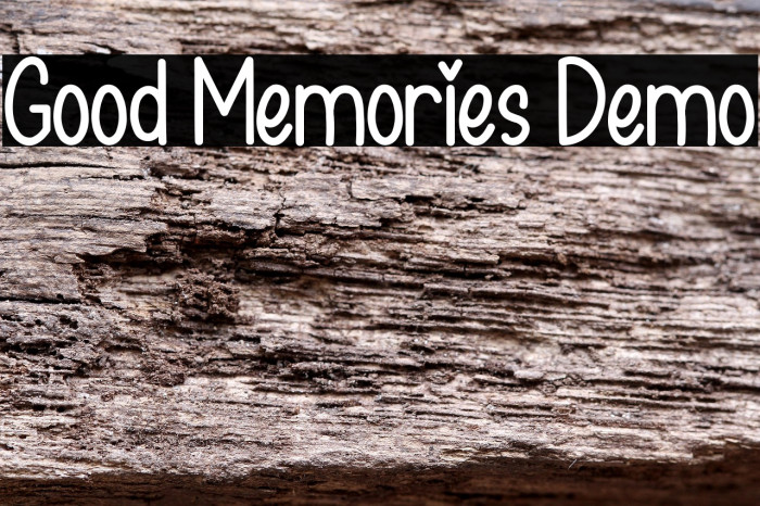 Good Memories Demo Example 1