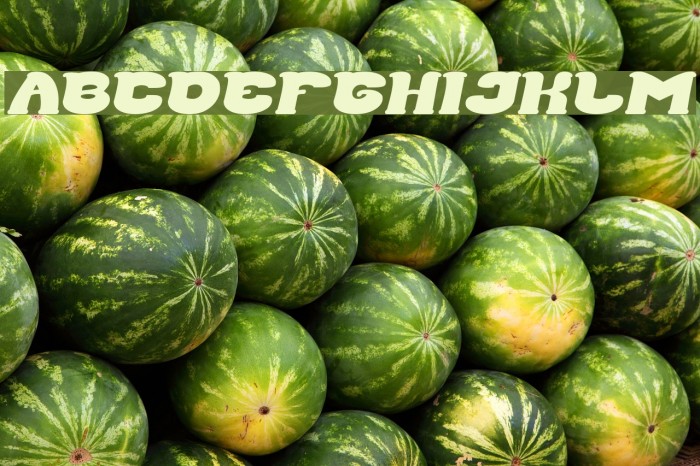 Good Morning Bold Italic Font examples