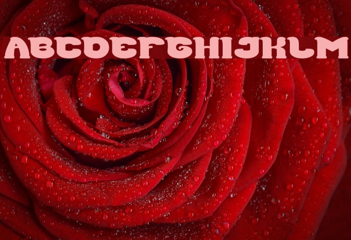 Good Morning Bold Font examples