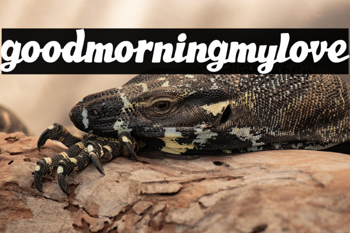 Good Morning My Love Example 2