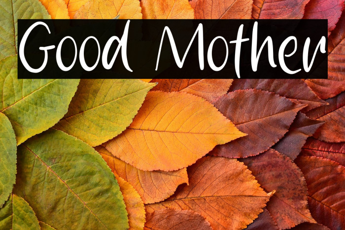 Good Mother Example 2