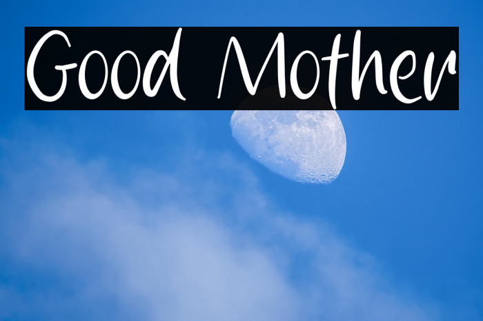 Good Mother Example 3